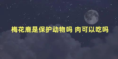 梅花鹿是保护动物吗 肉可以吃吗